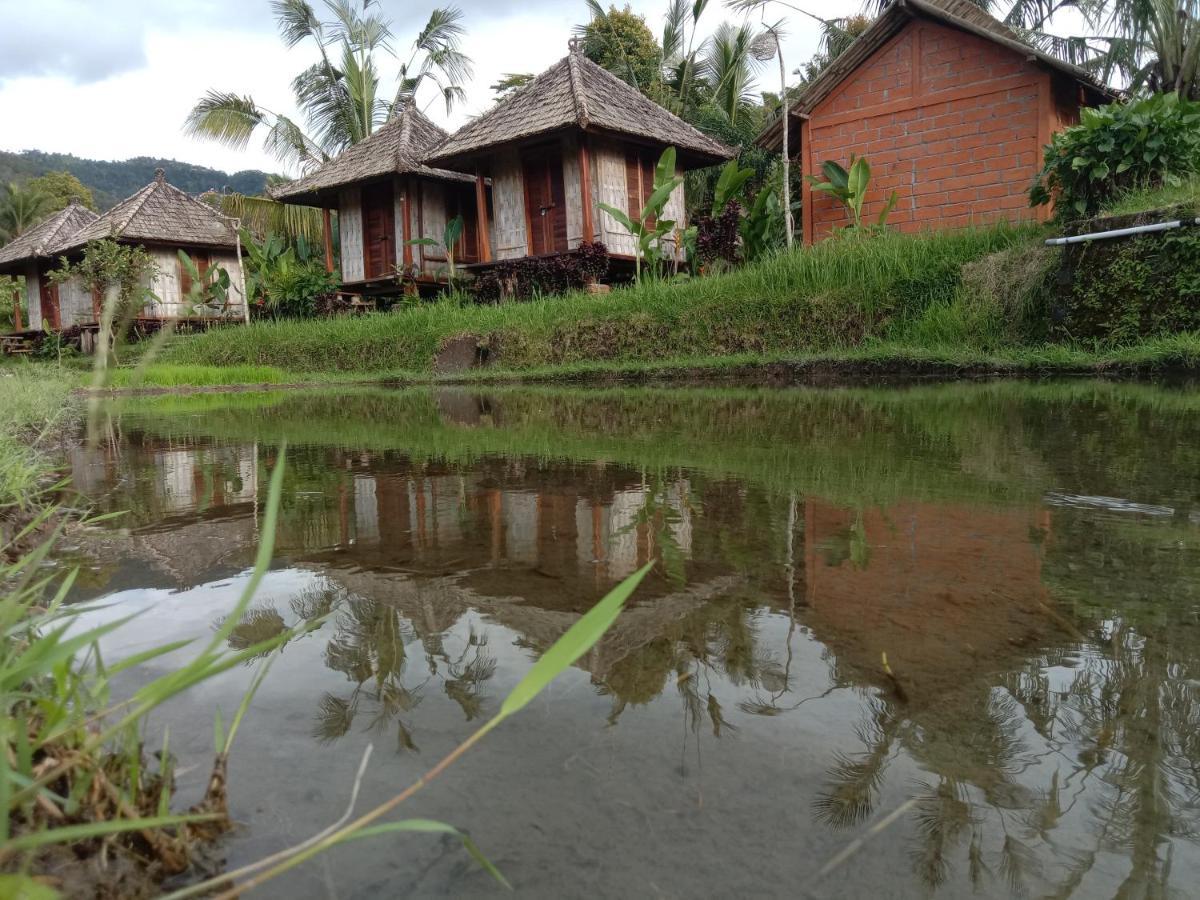 Puri Sunny Camp Villa Munduk Eksteriør billede