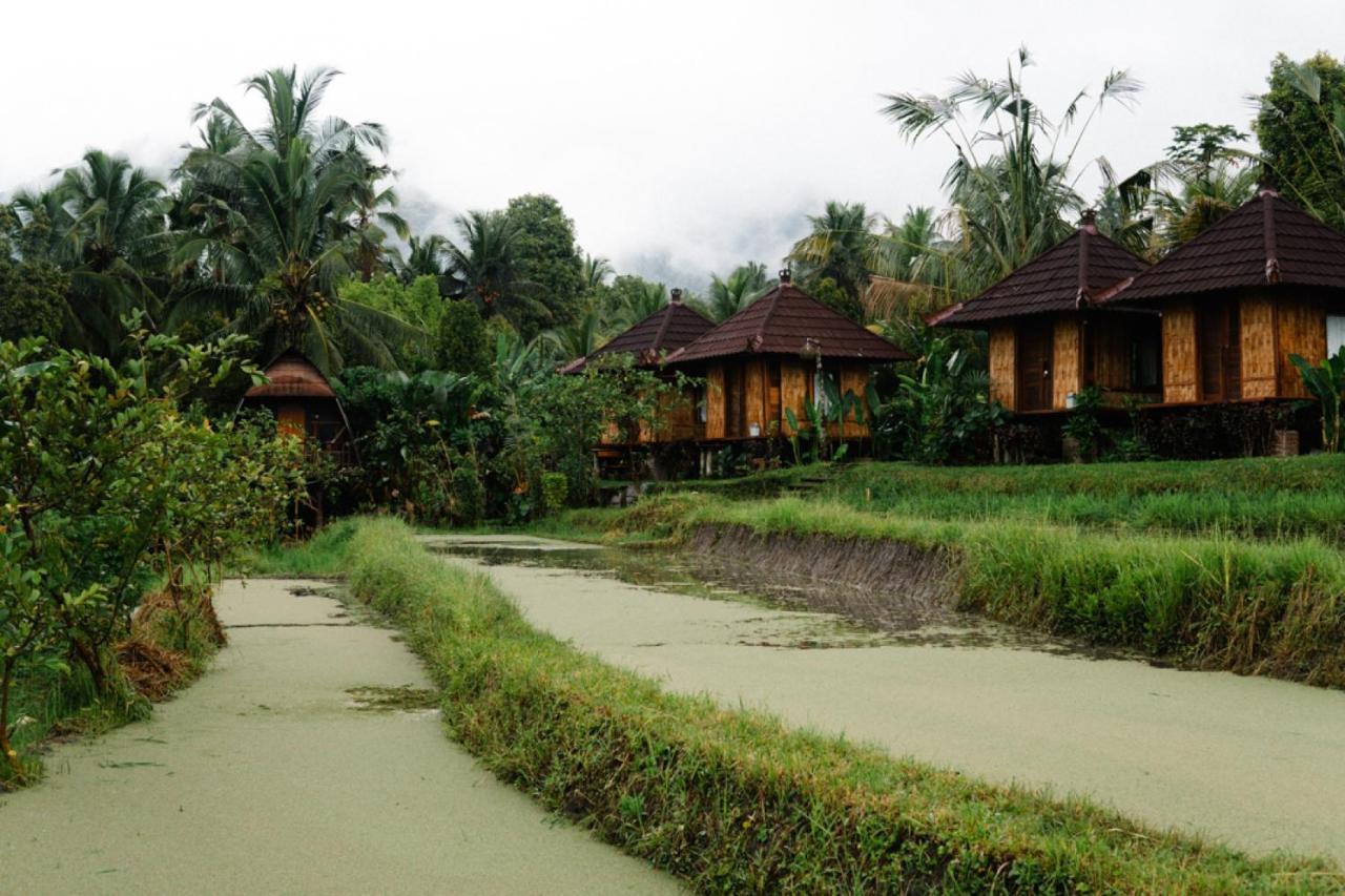 Puri Sunny Camp Villa Munduk Eksteriør billede
