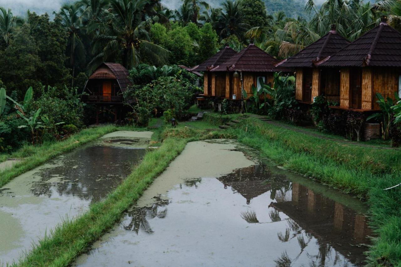 Puri Sunny Camp Villa Munduk Eksteriør billede