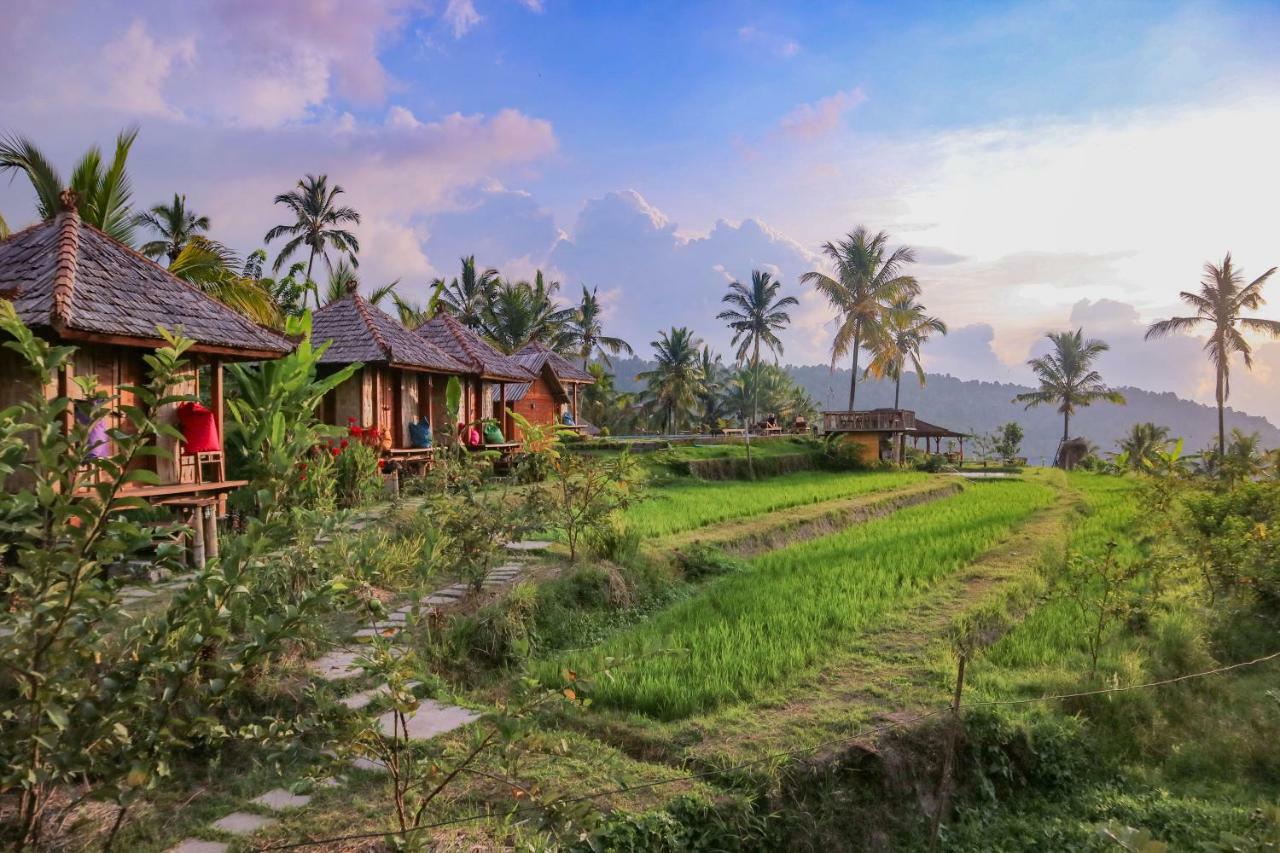 Puri Sunny Camp Villa Munduk Eksteriør billede
